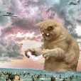 Paracausality