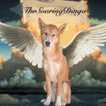 TheSoaringDingo