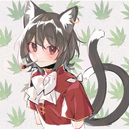 CatNipChen