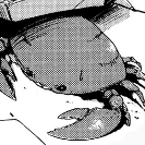Crab